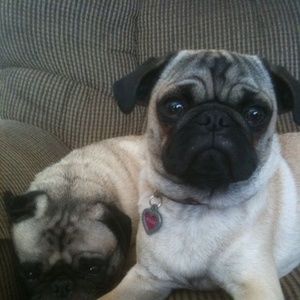 Meet your Posher, Mary ellen